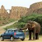 Mini Countryman in India