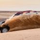 Mini John Cooper Works Rally Dakar 2017 (41)