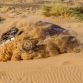 Mini John Cooper Works Rally Dakar 2017 (45)
