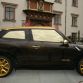 MINI Paceman Roberto Cavalli