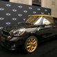 MINI Paceman Roberto Cavalli