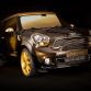 MINI Paceman Roberto Cavalli