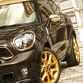 MINI Paceman Roberto Cavalli