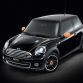 Mini Ray Line