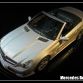 Miniature Cars