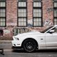 Mustang RTR 2013