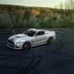 Mustang S550 by MMD (3)