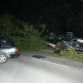 nissan-gtr-crash-tree2.jpg