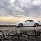 nissan-gt-r-egoist-2012-17