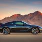 Nissan GT-R Track Edition 2014