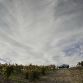 nissan-murano-crosscabriolet-2011-13
