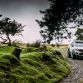 Nissan Navara EnGuard Concept (7)