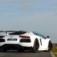 Lamborghini Aventador LP760-4 Dragon Edition by Oakley Design