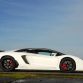 Lamborghini Aventador LP760-4 Dragon Edition by Oakley Design