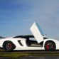 Lamborghini Aventador LP760-4 Dragon Edition by Oakley Design