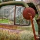 Old Car City (10)