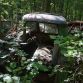 Classic Car Junkyard