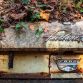 Old Car City (51)