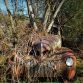 Old Car City (9)