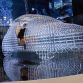 DLF_7306(1)