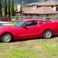 Overkill Ford Mustang for sale