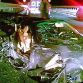 incidente a10 320 km distrugge auto illeso