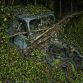 Paradise Parking Abandoned Cars Decaying in Nature