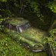 Paradise Parking Abandoned Cars Decaying in Nature