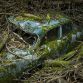 Paradise Parking Abandoned Cars Decaying in Nature