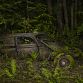 Paradise Parking Abandoned Cars Decaying in Nature