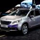 Peugeot in Paris 2014 (4)