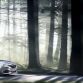 Peugeot Exalt Concept