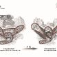 audi-a6-2012-125