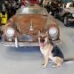 1955-porsche-356-speedster-barn-find-lands-on-ebay-but-you-wont-like-the-price-photo-gallery_18