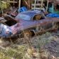 1955-porsche-356-speedster-barn-find-lands-on-ebay-but-you-wont-like-the-price-photo-gallery_20
