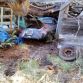 1955-porsche-356-speedster-barn-find-lands-on-ebay-but-you-wont-like-the-price-photo-gallery_21