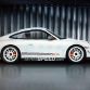 Porsche 911 GT3 RS 4.0 Limited Edition Leaked Photo