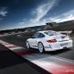 porsche-911-gt3-rs-4-0-limited-edition-leaked-photos-3