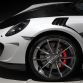 Porsche 911 Turbo TopCar Stinger GTR 2 (10)