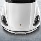 Porsche_Cayenne_S_E-Hybrid_(7)