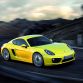Porsche Cayman 2013