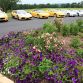 Private Car Collection with 82 Exotics in Florida