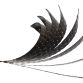 CarbonFiber_Curl_COMBINED