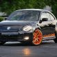 Project Beetle RS