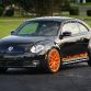 Project Beetle RS