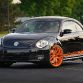 Project Beetle RS