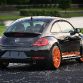 Project Beetle RS