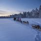 Pure McLaren Arctic Experience (6)