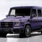 Purple Mercedes-Benz G55 AMG Black Bison by Wald International for SEMA