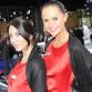 Qatar Motorshow 2012 Girls